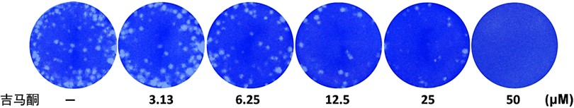 085912578.jpg 图片1.jpg
