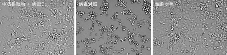 085942138.jpg 图片2.jpg