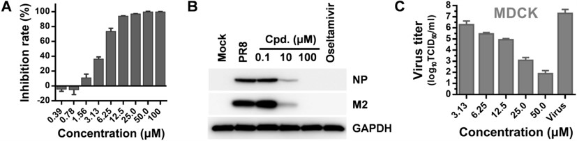 090125335.jpg 图片3.jpg